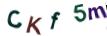 Obrázková CAPTCHA